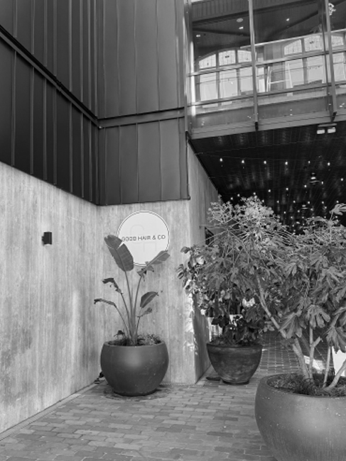 Image-4